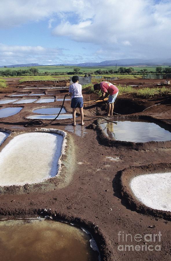 Hawaii Salt Pans #1 Photograph by Andy Crump/science Photo Library