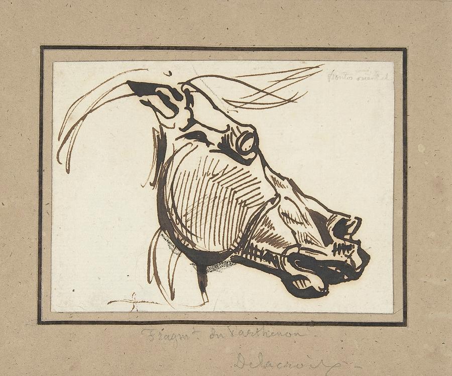 Black And White Drawing - Head Of A Horse, After The Parthenon by Eugene Delacroix