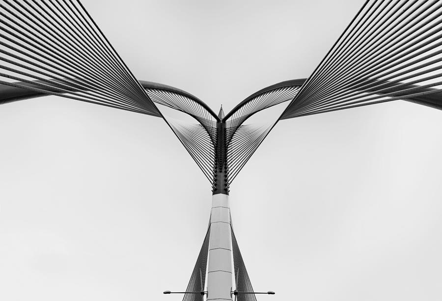 Heart Of Steel #1 Photograph by Ahmed Thabet