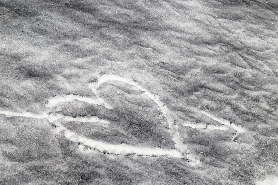 Heart Pierced By An Arrow Drawn In The Snow #1 Photograph by Vivida Photo PC