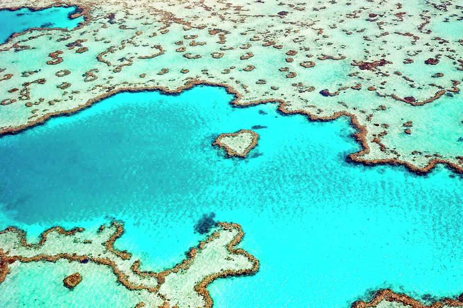 Heart Reef In The Great Barrier Reef by Australian Scenics