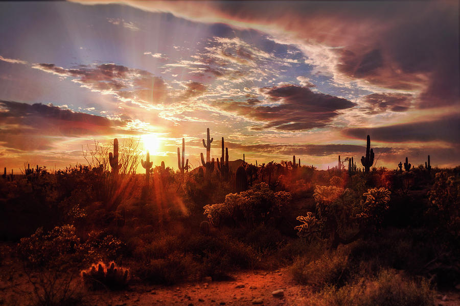 Heavenly Desert Skies At Sunset   Photograph by Saija Lehtonen