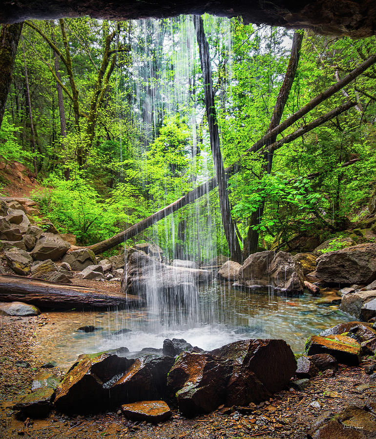 Hedge Creek Falls #1 Photograph by Leland D Howard