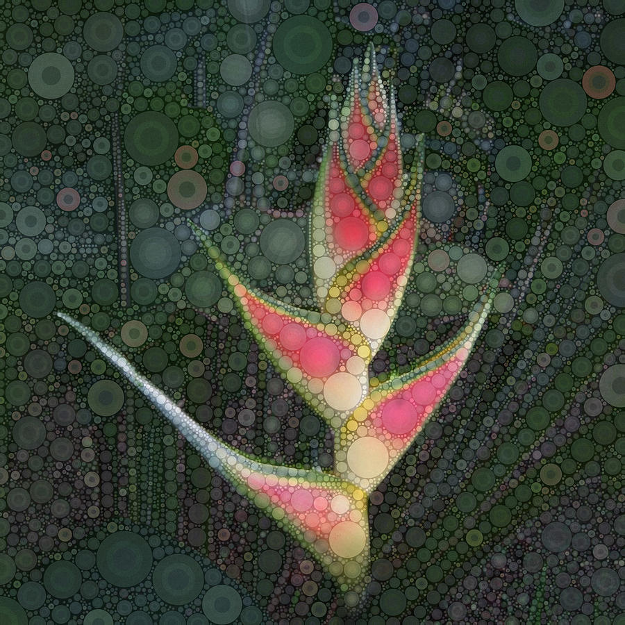 Heliconia Square Digital Art by Daniel McPheeters