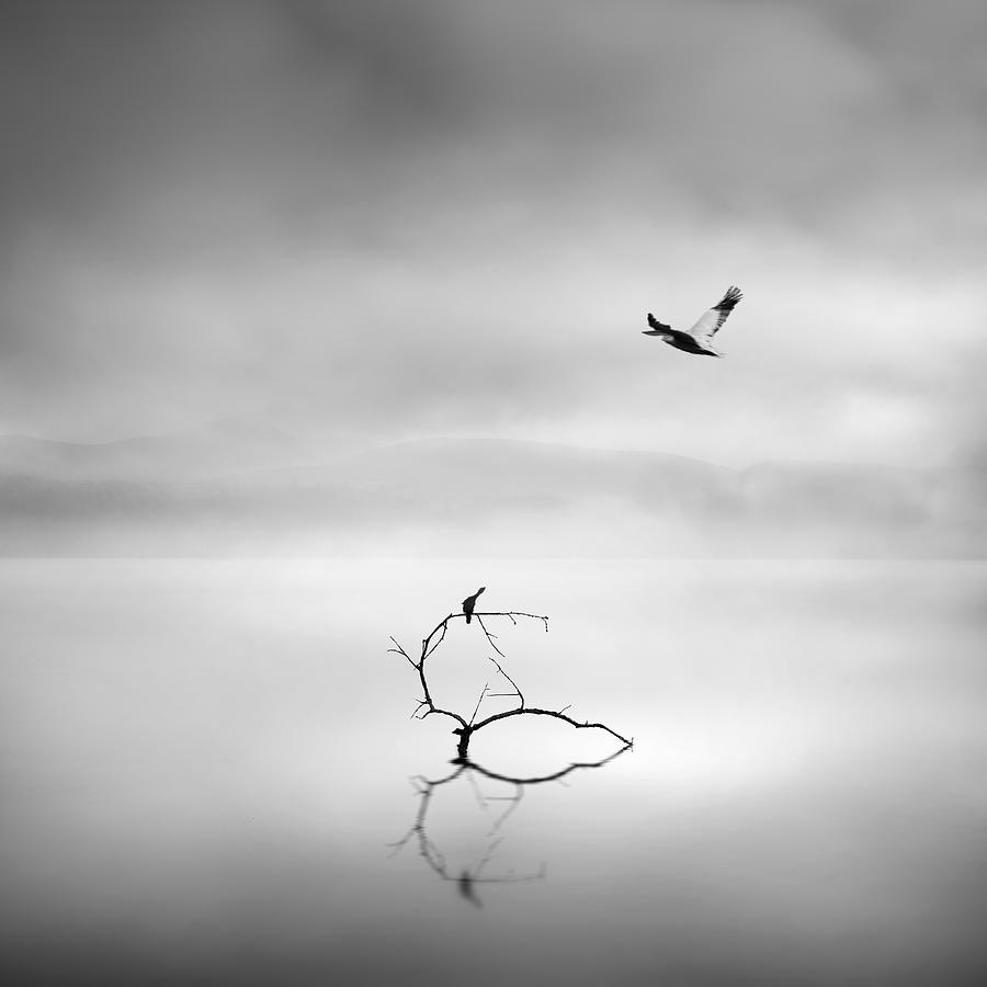 Hello! #1 Photograph by George Digalakis