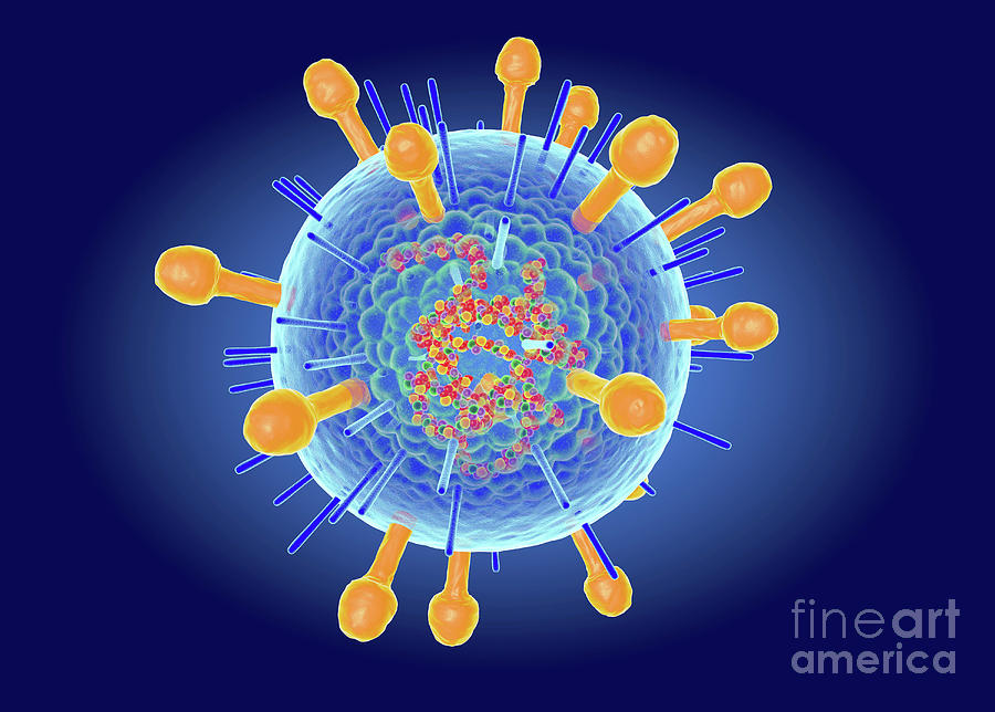 Hendra Virus Structure #1 Photograph by Roger Harris/science Photo ...