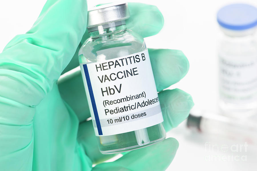 Hepatitis B Vaccine Photograph By Sherry Yates Young/science Photo ...