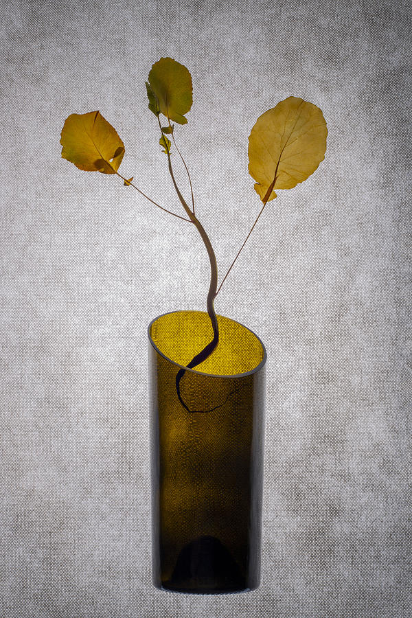 Flower Photograph - Herbarium #1 by Brig Barkow