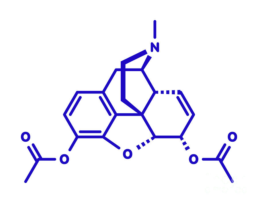 Poppy Photograph - Heroin Opioid Drug Molecule #1 by Molekuul/science Photo Library