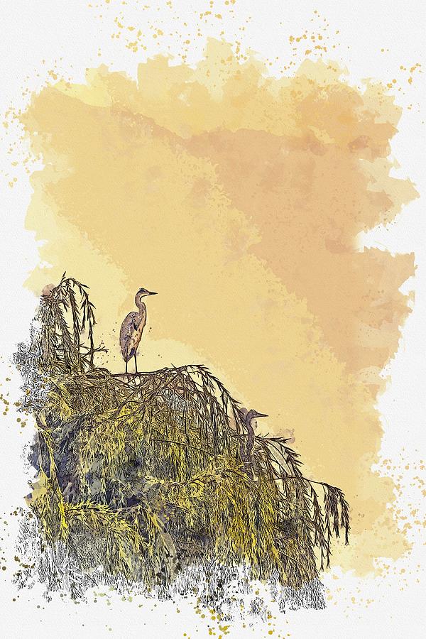 Heron At Dawn -  watercolor by Adam Asar #1 Painting by Celestial Images