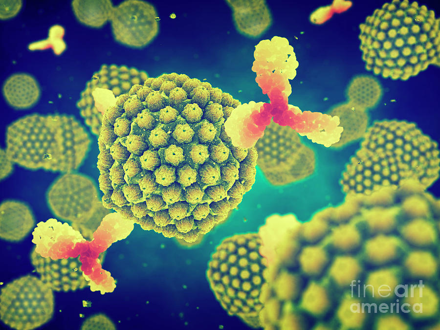 Herpes Viruses And Antibodies #1 By Nobeastsofierce/science Photo Library