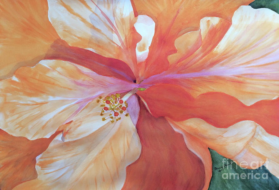 Hibiscus #1 Painting by Bonnie Young