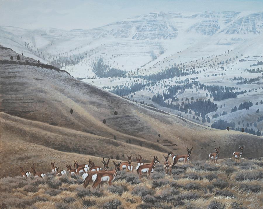 High Country Pronghorn by Peter Mathios High Country Pronghorn by Peter Mathios