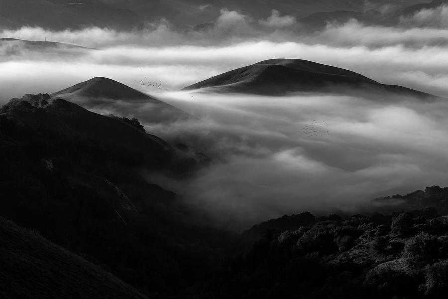 Hills and Fog #1 Photograph by Rick Pisio