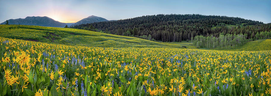 Caribou Mountains Idaho Panoramic Photograph by Leland D Howard