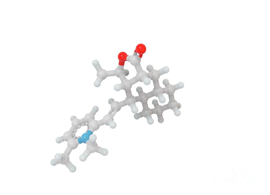 Himbacine Molecule #1 Photograph by Ramon Andrade 3dciencia/science Photo Library