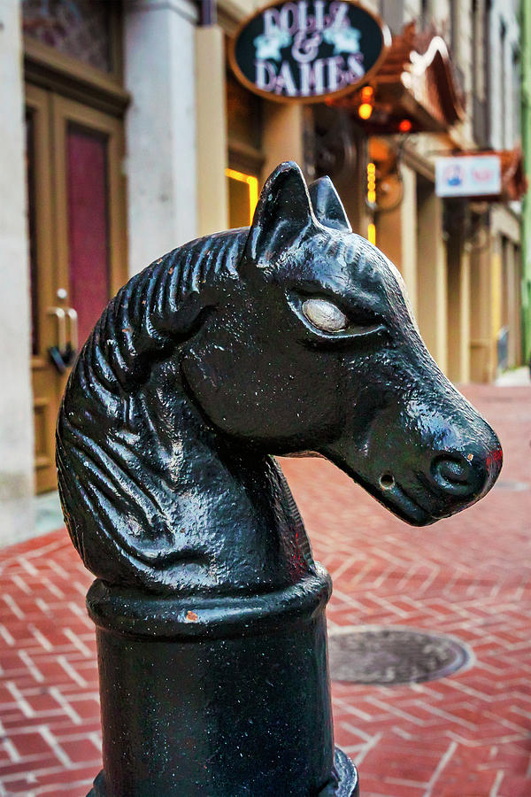 New Orleans Digital Art - Hitching Post, New Orleans, La #1 by Claudia Uripos