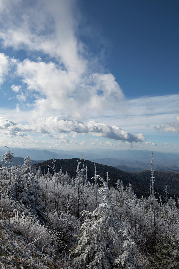 Hoar Frost, Clingmans Dome #1 Photograph by Jerry Whaley