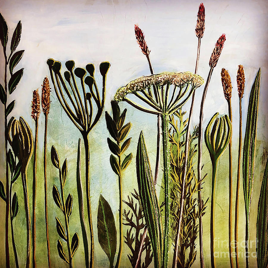 Hogweed Painting by Sarah Thompson-engels Hogweed Painting by Sarah Thompson-engels