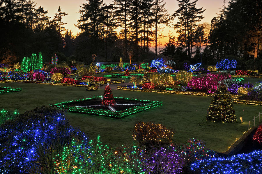 Holiday Lights At Shore Acres State Park. Photograph by Larry Geddis