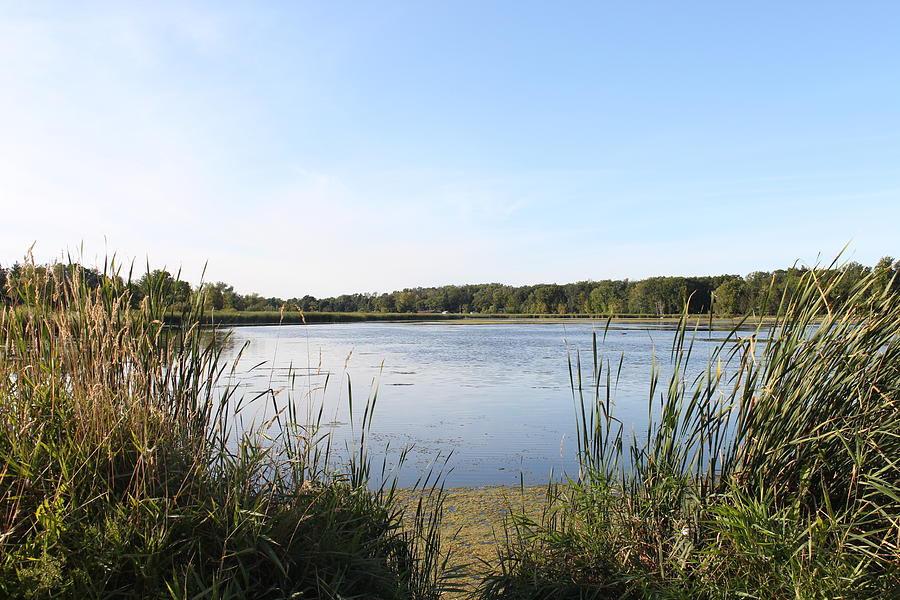 Holland Landing River Photograph by Ben Doner - Fine Art America