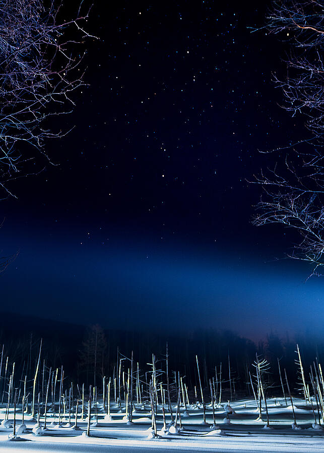 Winter Photograph - Holy Night #1 by Hidenori Sono