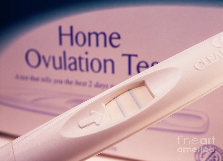 Home Ovulation Test 1 Photograph By Cordelia Molloy Science Photo   1 Home Ovulation Test Cordelia Molloyscience Photo Library 