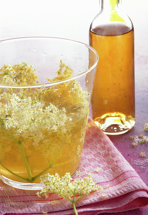 Homemade Elderflower Liqueur With Fresh Flowers #1 Photograph by Teubner Foodfoto