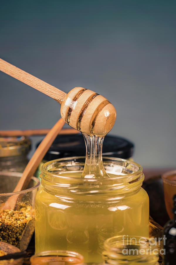 Honey Flowing Into A Glass Jar #1 Photograph by Microgen Images/science Photo Library