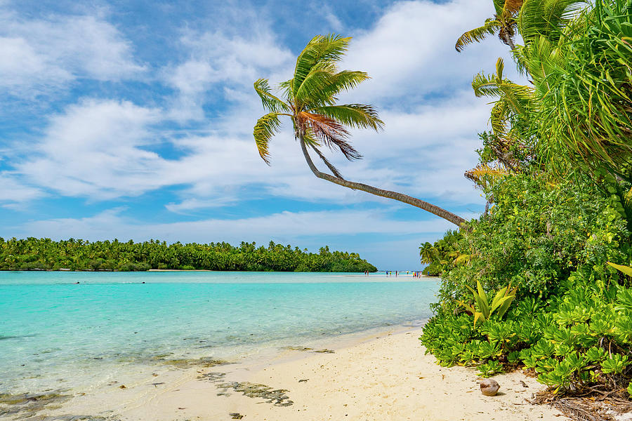 Honeymoon Island, Aitutaki, Cook Photograph by Douglas Peebles