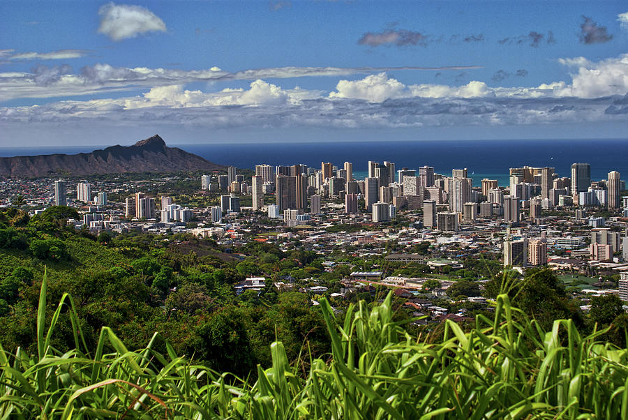 Honolulu-Waikiki Skyline Photograph by Donald Pash | Fine Art America
