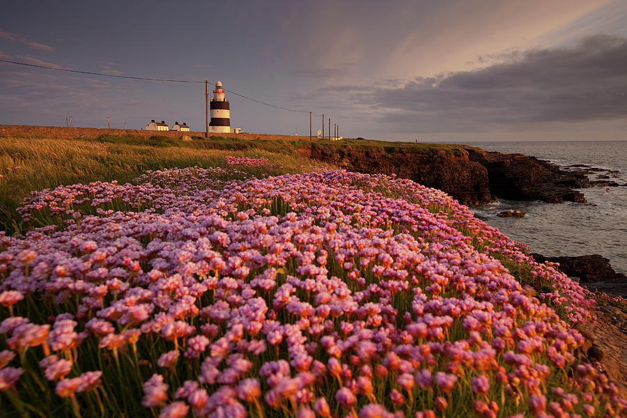 Hook Head Lighthouse, Ireland #1 Digital Art by Wolfgang Fuchs
