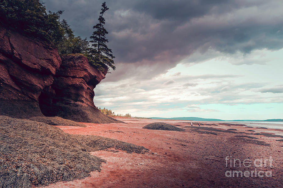 Hopewell rocks at low tide Photograph by Claudia M Photography - Fine