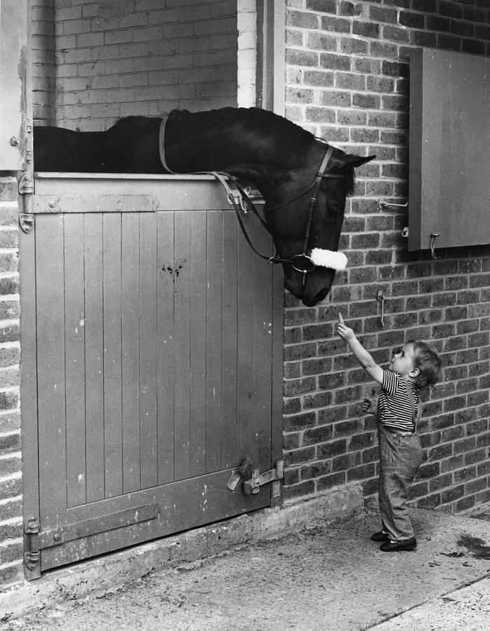 Horse And Child #1 Photograph by Evening Standard