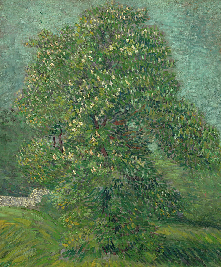Vincent Van Gogh Painting - Horse Chestnut Tree in Blossom #1 by Vincent van Gogh