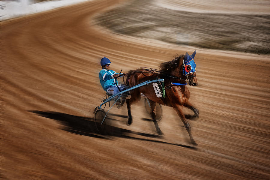 Horse Races In Menorca #1 Photograph by Xavier Garci
