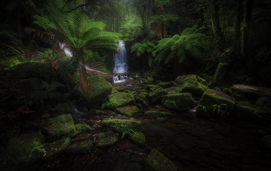 Jungle Photograph - Horseshoe Falls #1 by Richard Vandewalle