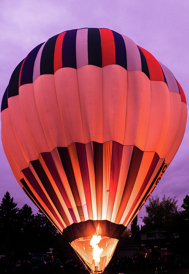 Hot air balloon #1 Photograph by Nick Mares