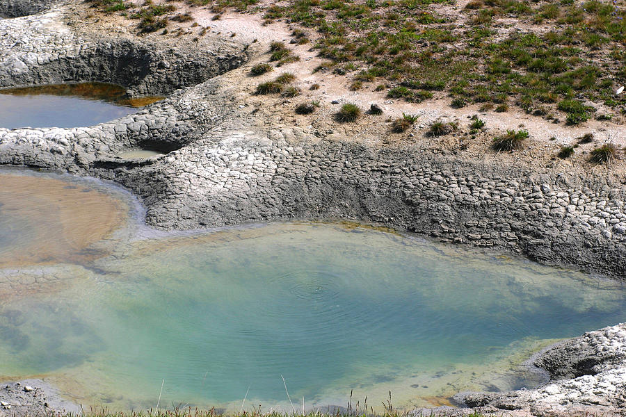 Hot Spring 2 In Yellowstone Photograph by Living Color Photography Lorraine Lynch