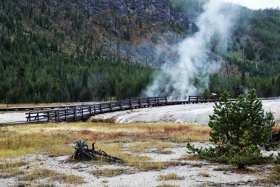 Hot Stuff at Yellowstone National Park  #1 Photograph by Susan Jensen