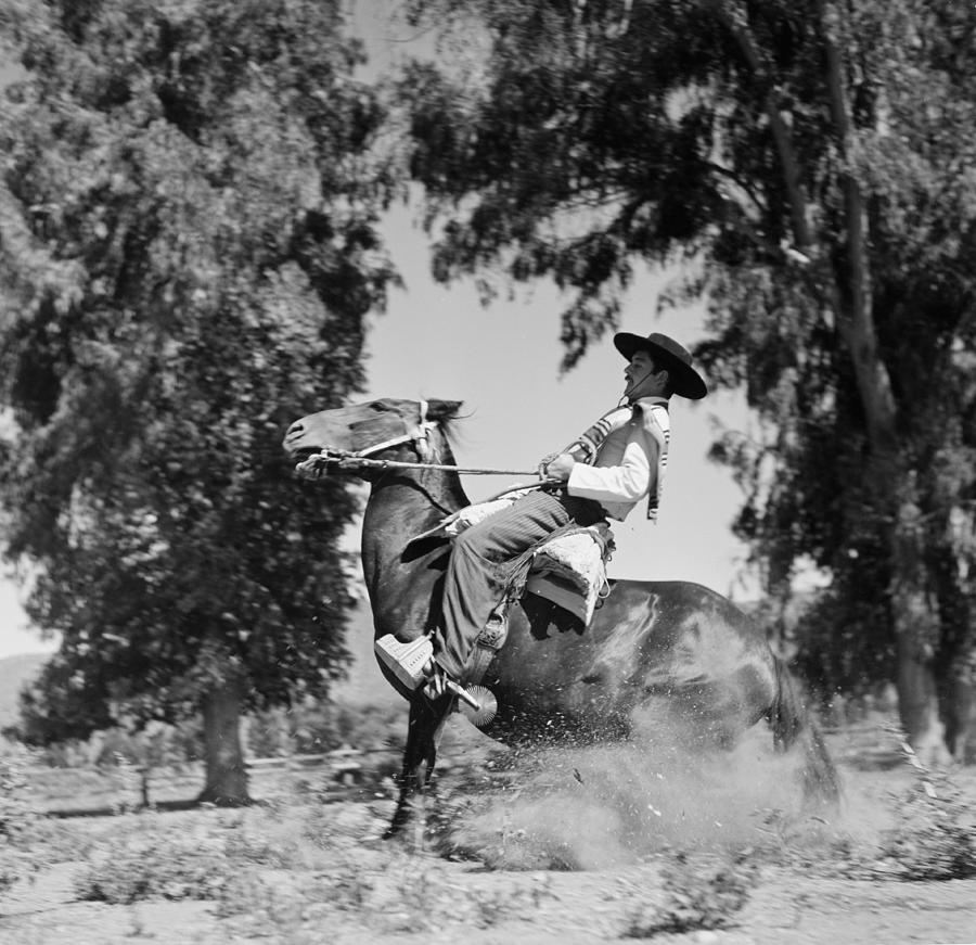 Huaso Of Chile Photograph by Michael Ochs Archives - Fine Art America