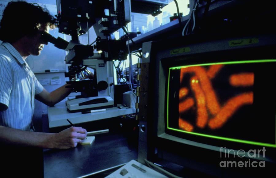 Human Genome Research #1 Photograph by Peter Menzel/science Photo Library