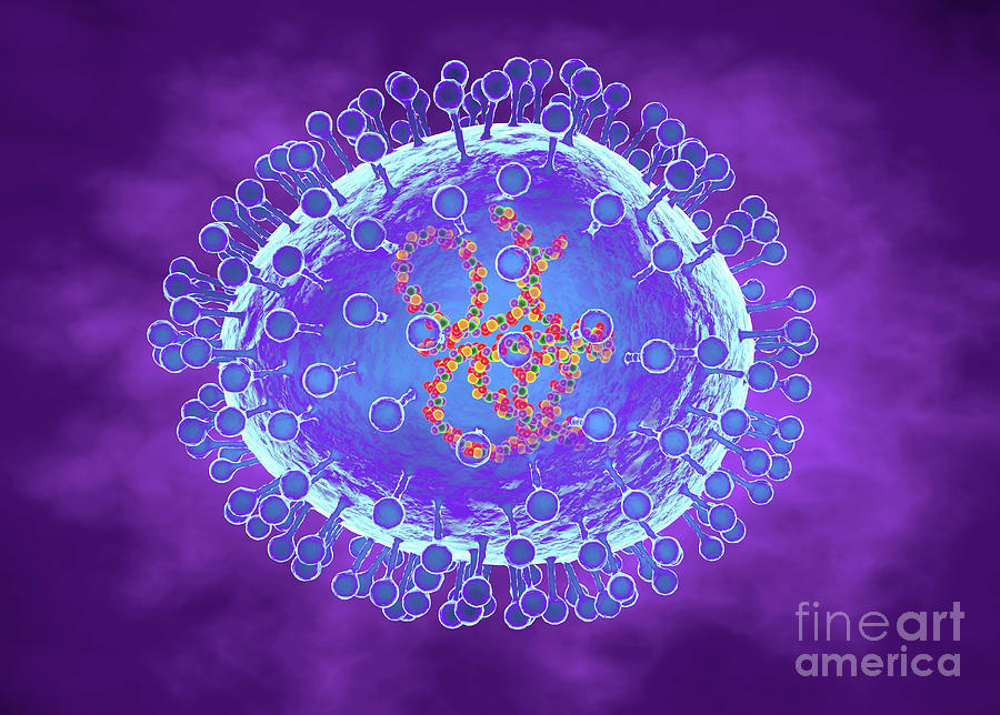 Human Metapneumovirus Photograph by Roger Harris/science Photo Library