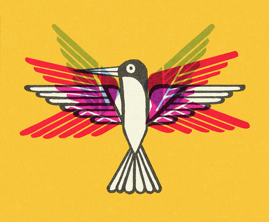 Hummingbird Drawing - Hummingbird #1 by CSA Images