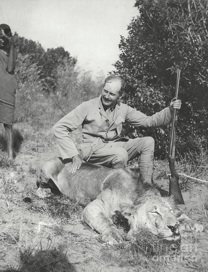 Hunter With Dead Lion #1 Photograph by Bettmann