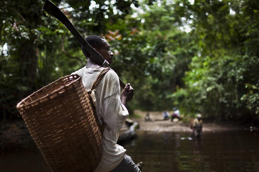 Hunting For Bushmeat In Cameroon #1 Photograph by Brent Stirton