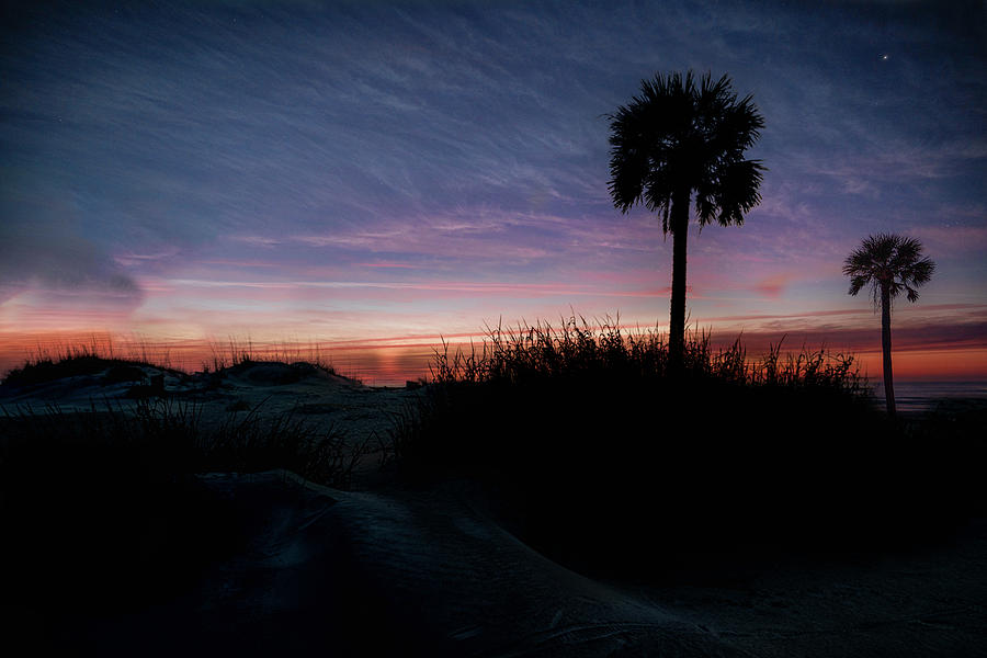 Hunting Island #1 Photograph by Stephen McCloskey - Fine Art America