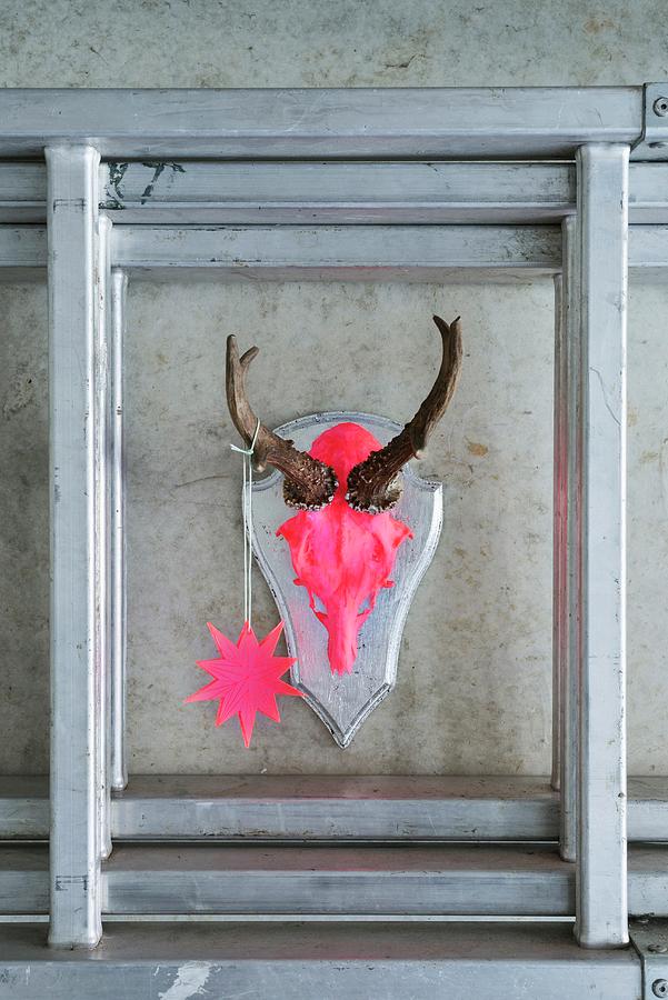 Hunting Trophy Painted Neon Pink With Star Pendant Hanging On Concrete Wall #1 Photograph by Patsy&ulla