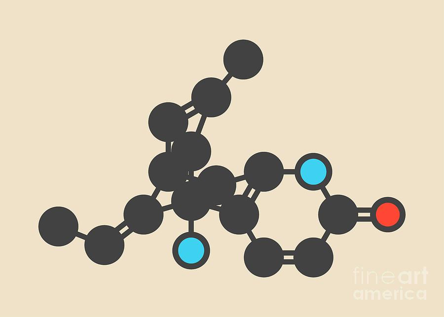 Alkaloid Photograph - Huperzine A Alkaloid Molecule #1 by Molekuul/science Photo Library