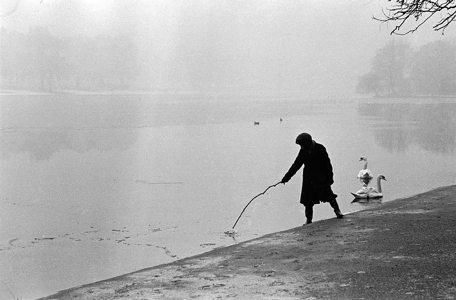 Winter Photograph - Hyde Park #1 by Cornell Capa